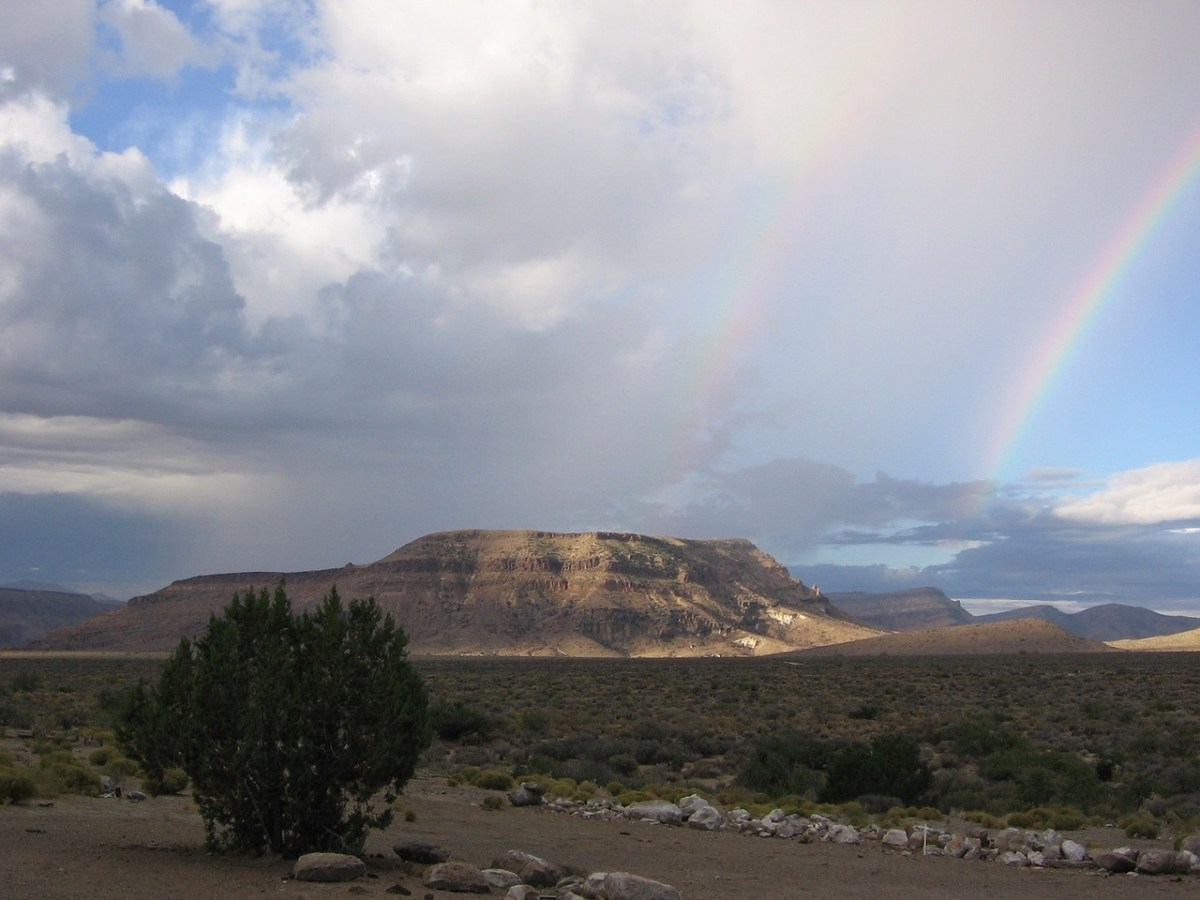 Speaking Words of&nbsp;Life